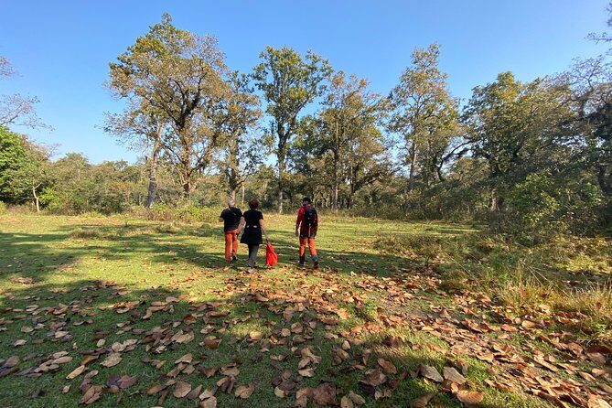 1 Night 2 Days Chitwan Jungle Safari Tour from Pokhara or Kathmandu - Day 2 Bird Watching, Then a Fast Exit Back to Kathmandu or Pokhara