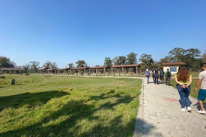 1 Night 2 Days Chitwan Jungle Safari Tour from Pokhara or Kathmandu - Why the Included Park Entrance Fees and Meals Matter (A Lot)