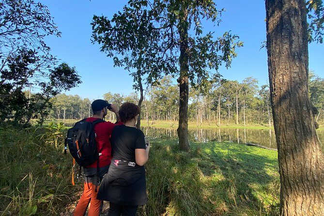 1 Night 2 Days Chitwan Jungle Safari Tour from Pokhara or Kathmandu - Group Size and Guide Style: The Real Difference Maker