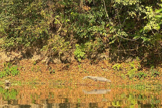 1 Night 2 Days Chitwan Jungle Safari Tour from Pokhara or Kathmandu - Day 1 in Chitwan: Jeep Safari and a Rapti River Sunset Session