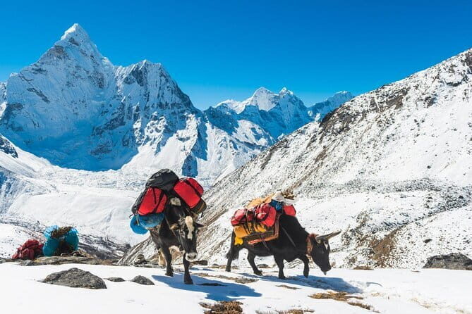 12 Days Everest Base Camp Trek from Kathmandu - Day 2: Namche Bazaar via Sagarmatha National Park