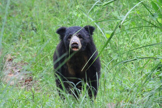 3 Days Jungle Safari in Chitwan National Park - How the Kathmandu to Chitwan Route Really Feels
