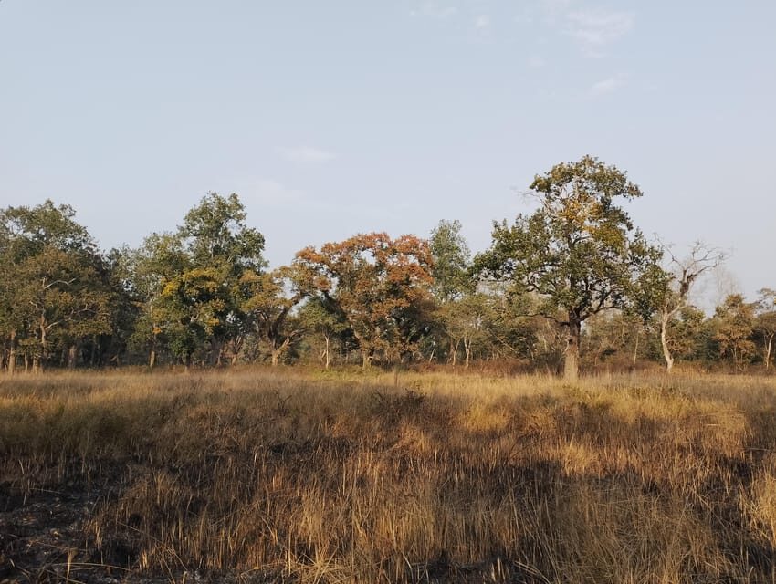 3 Nights 4 Days Chitwan National Park with Tower Night Stay - Price and value: is $300 a good deal?