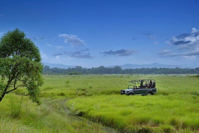 3 Nights 4 Days Chitwan National Park with Tower Night Stay - Chitwan National Park and a tower night: the real payoff