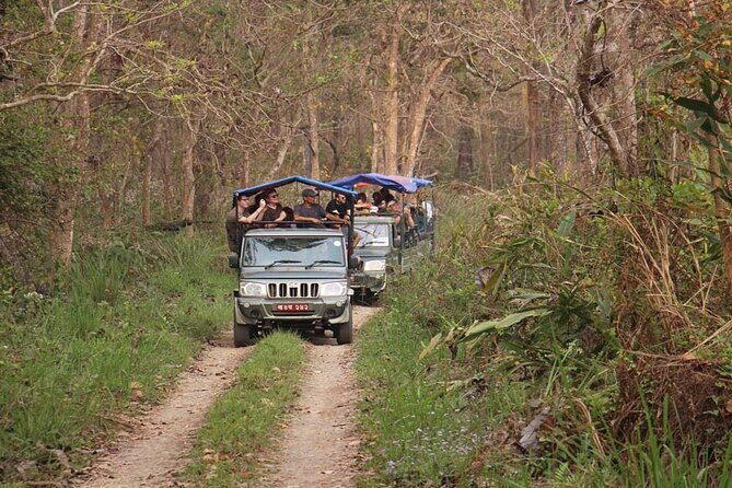 3 Nights 4 Days Chitwan National Park with Tower Night Stay - Day 1 in Chitwan: Tharu culture, Rapti River sunset, and a resort reset
