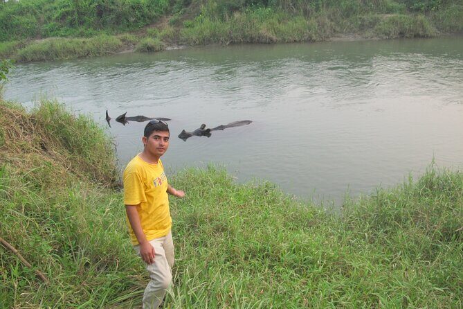 3 Nights 4 Days Chitwan National Park with Tower Night Stay - Day 2: canoe, birds, jungle walk, then the tower inside the park
