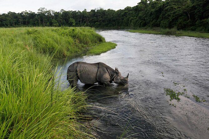 3 Nights 4 Days Chitwan National Park with Tower Night Stay - What you might see in Chitwan (and how to think about sightings)