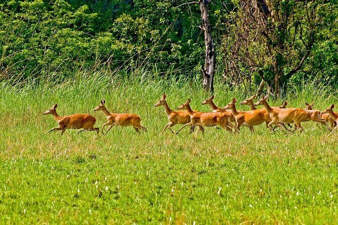 3 Nights 4 Days Chitwan National Park with Tower Night Stay - Getting to Chitwan without turning it into a marathon