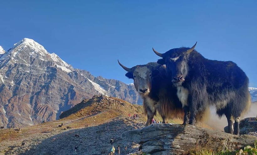 4 Days Pikey Peak Trek : The Best View of Mt Everest - Price and what $350 covers (and what it doesn’t)