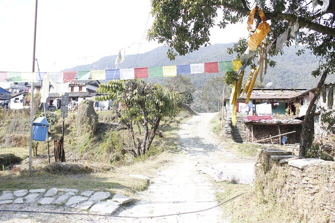 7 Days Langtang Valley Trek from Kathmandu - Guest houses and food: what to expect, and how to make it better
