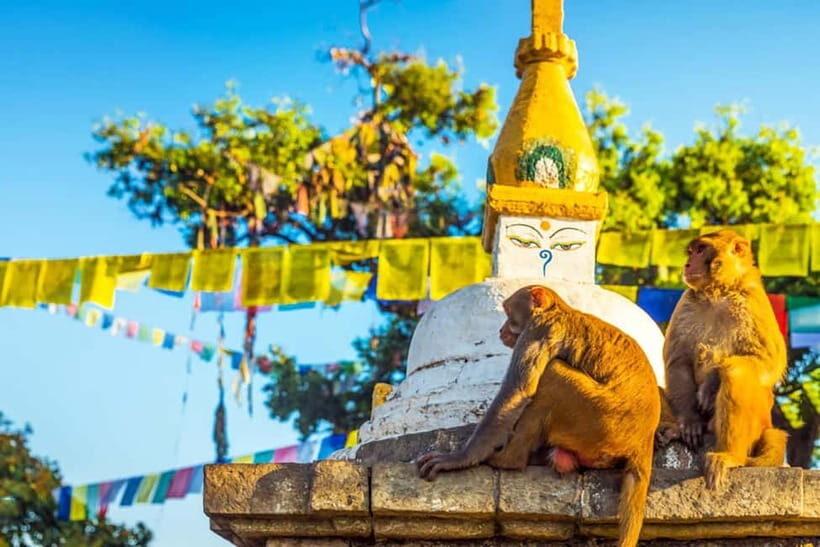 7-Heritage of Kathmandu: At your comfort 1-Day Tour - Swayambhunath Monkey Temple: Spiritual Views With a Side of Mischief