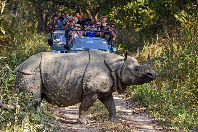 8 Days Tour in Nepal (4 Star Accommodation) - The big picture: what this 8 days actually feels like