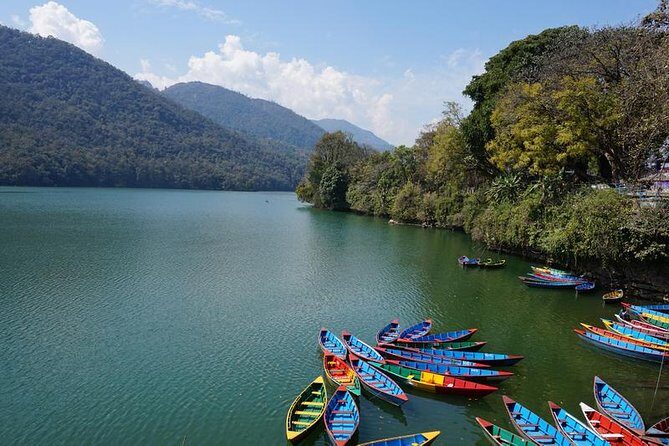 8 Days Tour in Nepal - Kathmandu, Chitwan & Pokhara (3 & 4 Star) - Chitwan National Park safari (Day 4): jeep or elephant-back