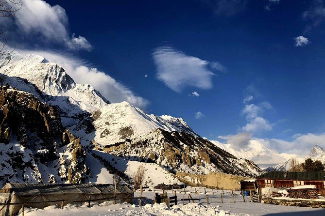 Annapurna Circuit Trek - Ledar and Thorong Phedi: The High-Country Build-Up Before the Pass