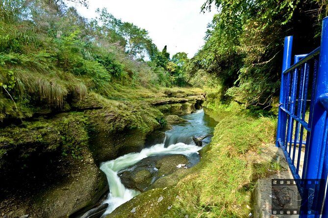 Best of Nepal Luxury Adventure Tour Package - 9 Days - Day 3 in Chitwan: jeep safari, birds, canoe, and Tharu culture