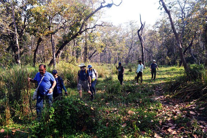 Chitwan Jungle Safari 3-Day Tour - What to pack (and what to skip) for Chitwan