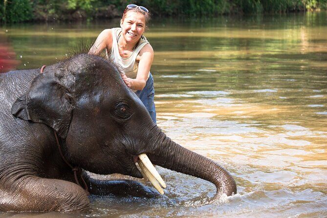 Chitwan National Park Tour - Kathmandu to Chitwan in three days: the point of this trip