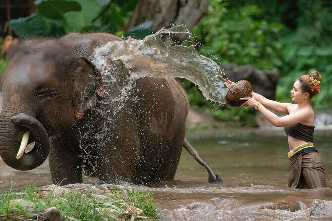 Chitwan National Park Tour - The private-tour feel: why it changes the experience