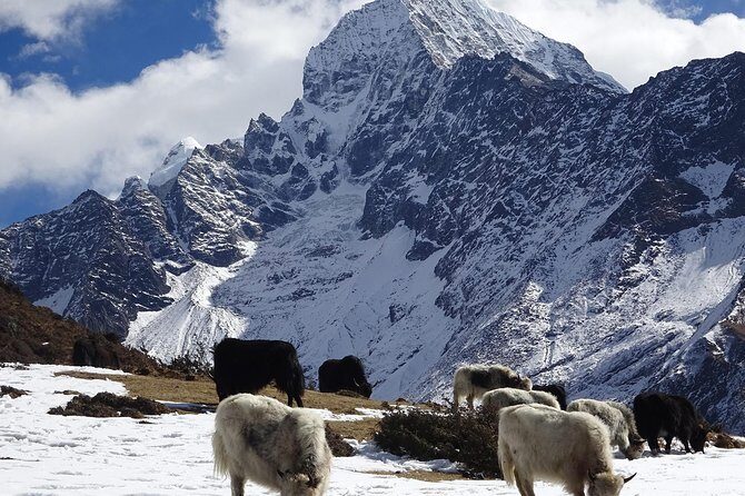 Everest Base Camp Helicopter Tour - Should You Book This Everest Base Camp Helicopter Tour?