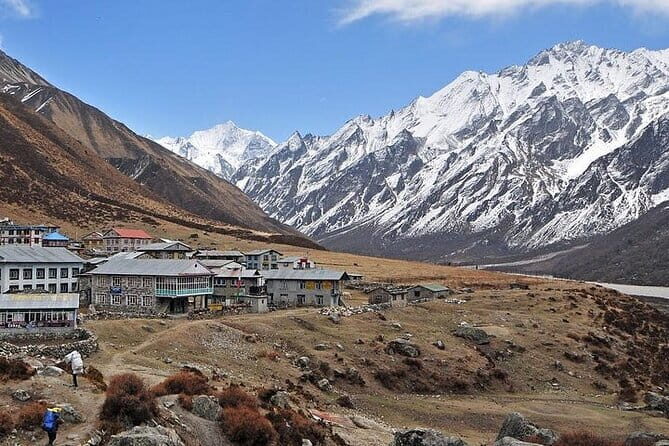 Explore The Beauty Of Langtang Valley In 8-Days Trek - Day 7 back to Syabrubesi: green forests and an easier wind-down