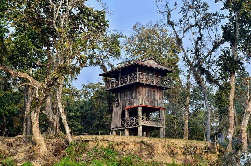 From Kathmandu/Pokhara: 2, 3, or 4-Day Chitwan Jungle Safari - Getting from Kathmandu or Pokhara without burning your whole day