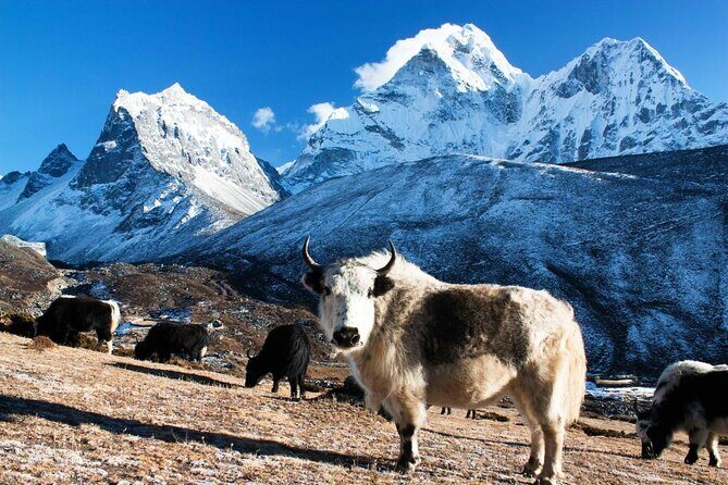 Guaranteed window seat for Everest Scenic Flight Pickup & Drop - Key Highlights Before You Go