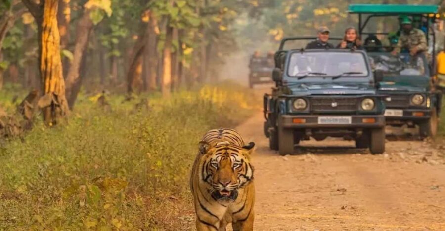 Kathmandu: 4-Day Private Chitwan National Park Safari Tour - Key takeaways before you go