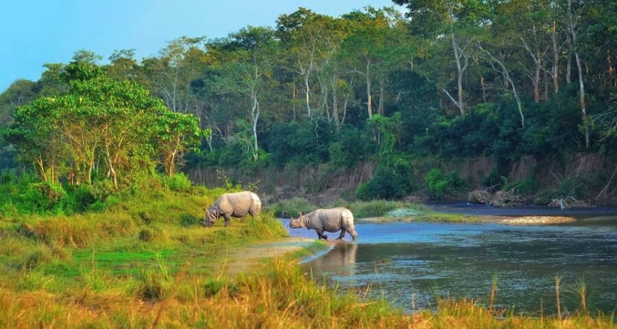 Kathmandu: 4-Day Private Chitwan National Park Safari Tour - Rapti River canoe ride: a quieter way to read the jungle