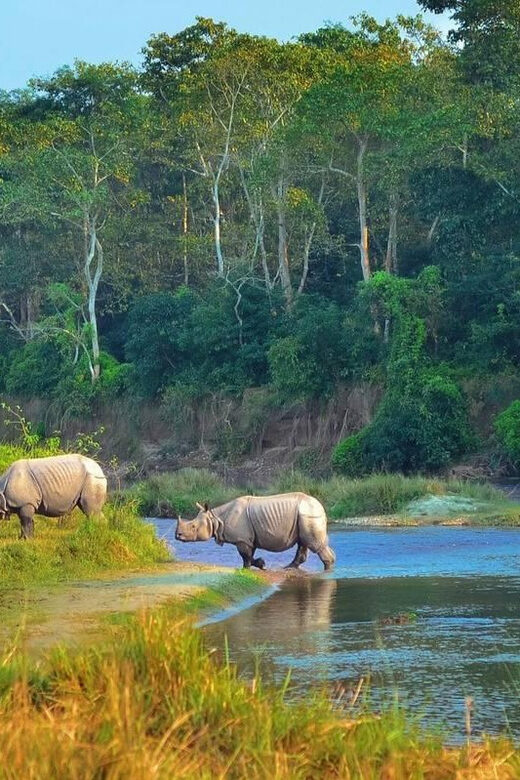 Kathmandu: 4-Day Private Chitwan National Park Safari Tour - Tharu Village + cultural performances: the other half of the Chitwan story
