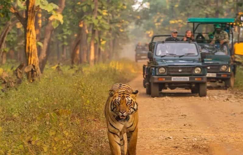 Kathmandu: 4-Day Private Chitwan National Park Safari Tour - Day 3 in the jungle: walking routes or cycling toward 20,000 Lake