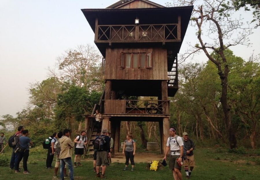 Kathmandu: 4-Day Private Chitwan National Park Safari Tour - Morning nature walk and getting back to Pokhara or Kathmandu