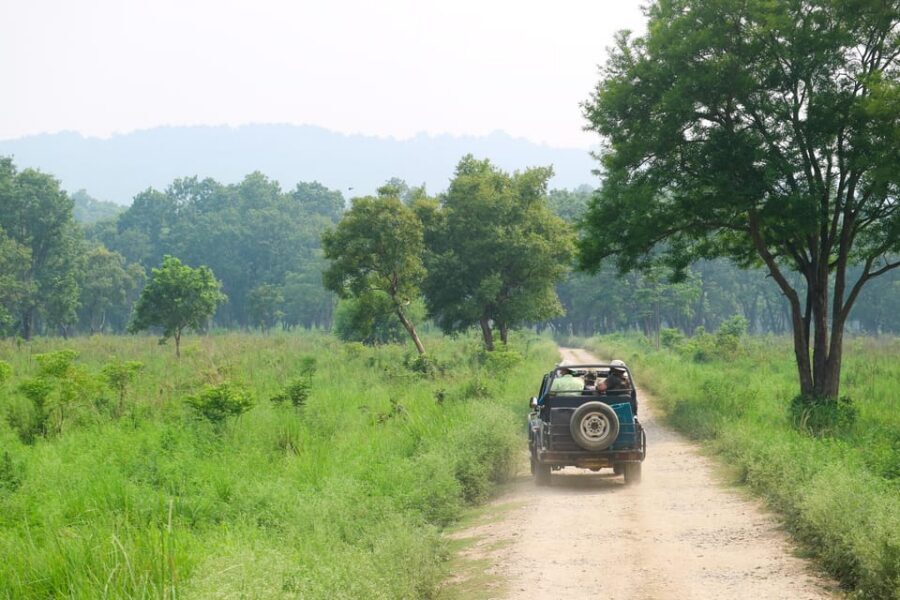 Kathmandu: 4-Day Private Chitwan National Park Safari Tour - Hotel, meals, and private-guide comfort: why these details matter