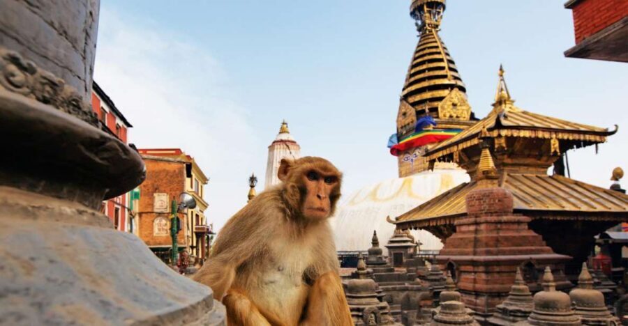 Kathmandu: Chandragiri cable car & Swayambhunath Tour - Key highlights worth noting