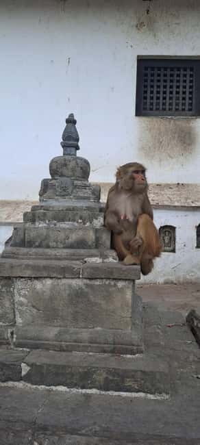 Kathmandu: Chandragiri cable car & Swayambhunath Tour - Swayambhunath (Monkey Temple): stupa climb, monkeys, and a panoramic Kathmandu lesson