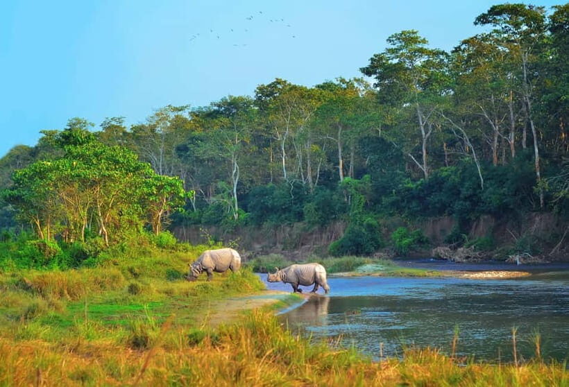 Kathmandu/Pokhara: 3 Day Chitwan Jungle Safari Tour - Key things that make this Chitwan tour work