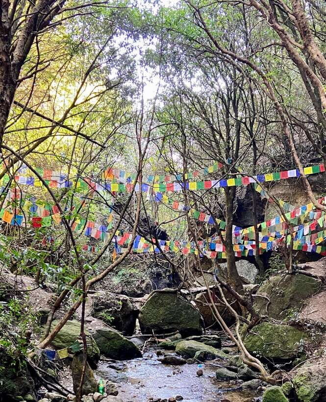 Kathmandu: Shivapuri Hill Day Hike with Lunch box - Shivapuri National Park trail: the climb, the calm, and the birds