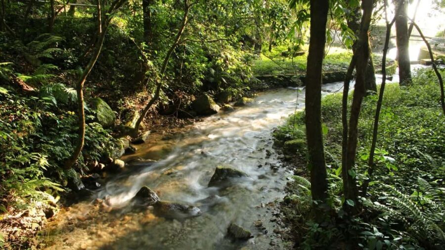 Kathmandu: Shivapuri National Park Hiking Day Trip - Sundarijal to Chisapani: waterfalls, forests, and Tamang villages