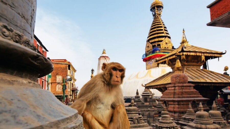 Kathmandu : Swambhunath & Durbar Square Guided Half Day Tour - The 4-hour flow: 80 minutes, 75 minutes, and smart pacing