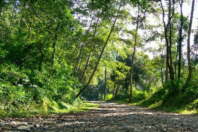 Manakamana Darshan- Day Tour - Included Lunch and Permits: The Hidden Value in This Price