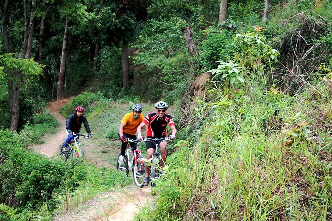 Mountain Bike Tour - Shivapuri National Park riding: nature time without leaving the day
