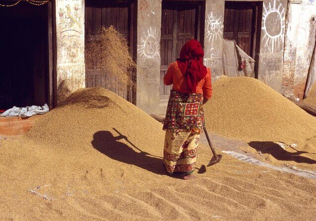 Nepali Cooking training & Cultural Homestay Experience - Key highlights you’ll feel right away