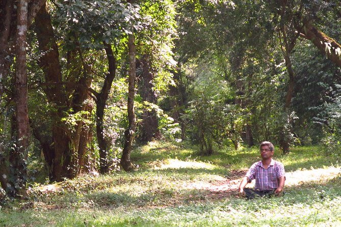 Pharping Asura Cave Meditation Tour - From pickup to first calm: how the half-day timeline works