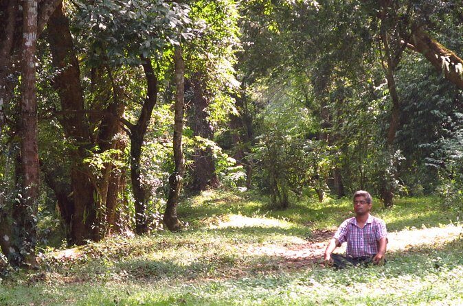 Pharping Asura Cave Meditation Tour - Who this tour suits best (and who should skip it)