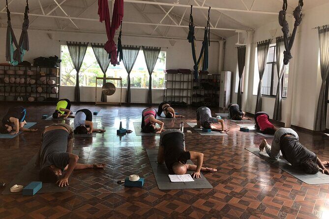 Regular Yoga for all levels of practitioners in Kathmandu - Should you book this Kathmandu yoga session?