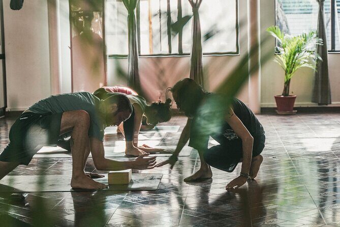 Regular Yoga for all levels of practitioners in Kathmandu - Vinyasa yoga, but with real options for all levels
